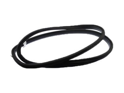 G8 / SS Front Door Body Weatherstrip